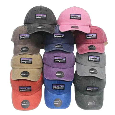 Patagonia Hat