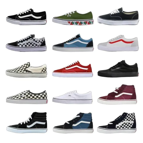 Vans Skate Shoes