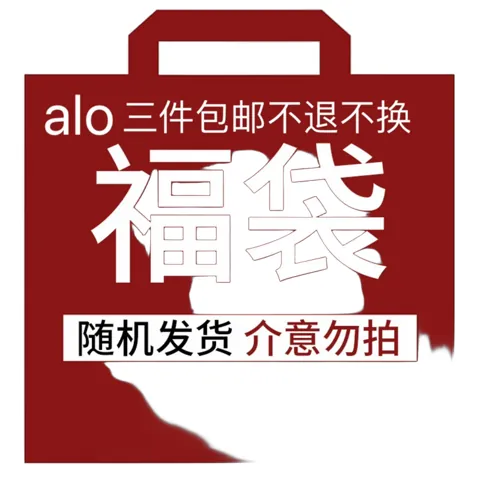 Alo Hoodie