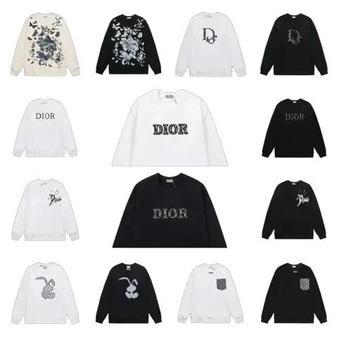 Dior Hoodie