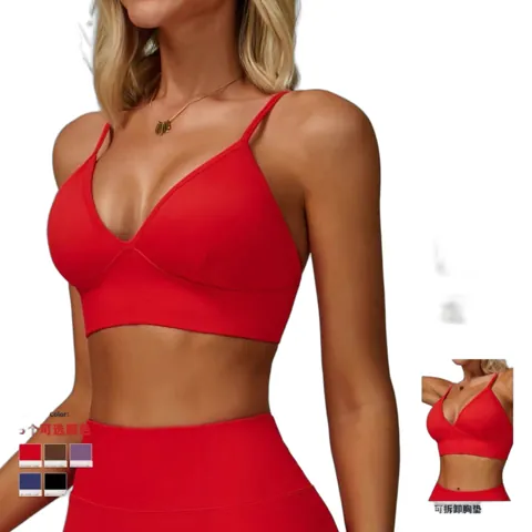 Alo Vest