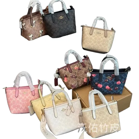 Coach Mini Bag