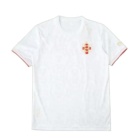 2425 season England Concept version Fan version
